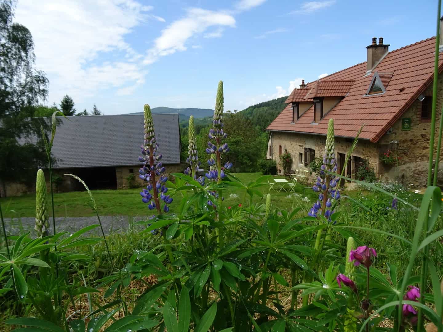 Gite rural Boisseau au printemps