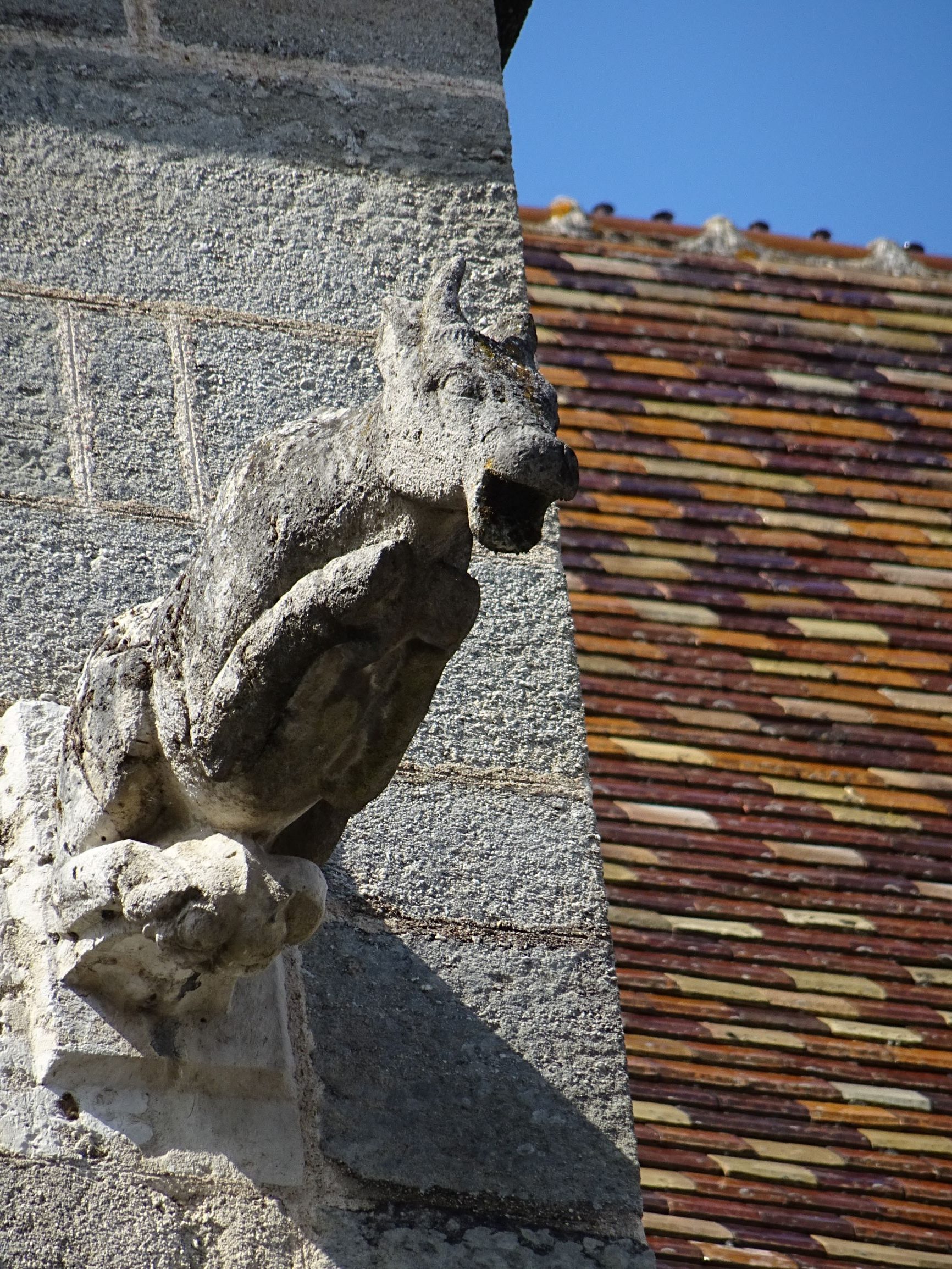 Gargouille Cathédrale d'Autun