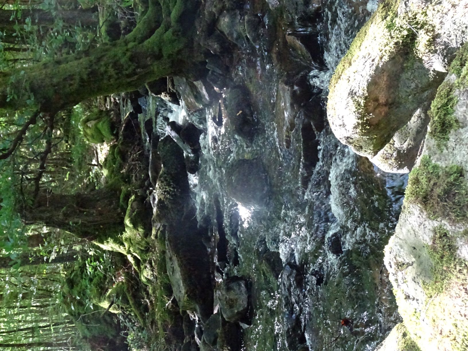 cascade d'eau Gorges de la Canche situé dans le Morvan près de Boisseau