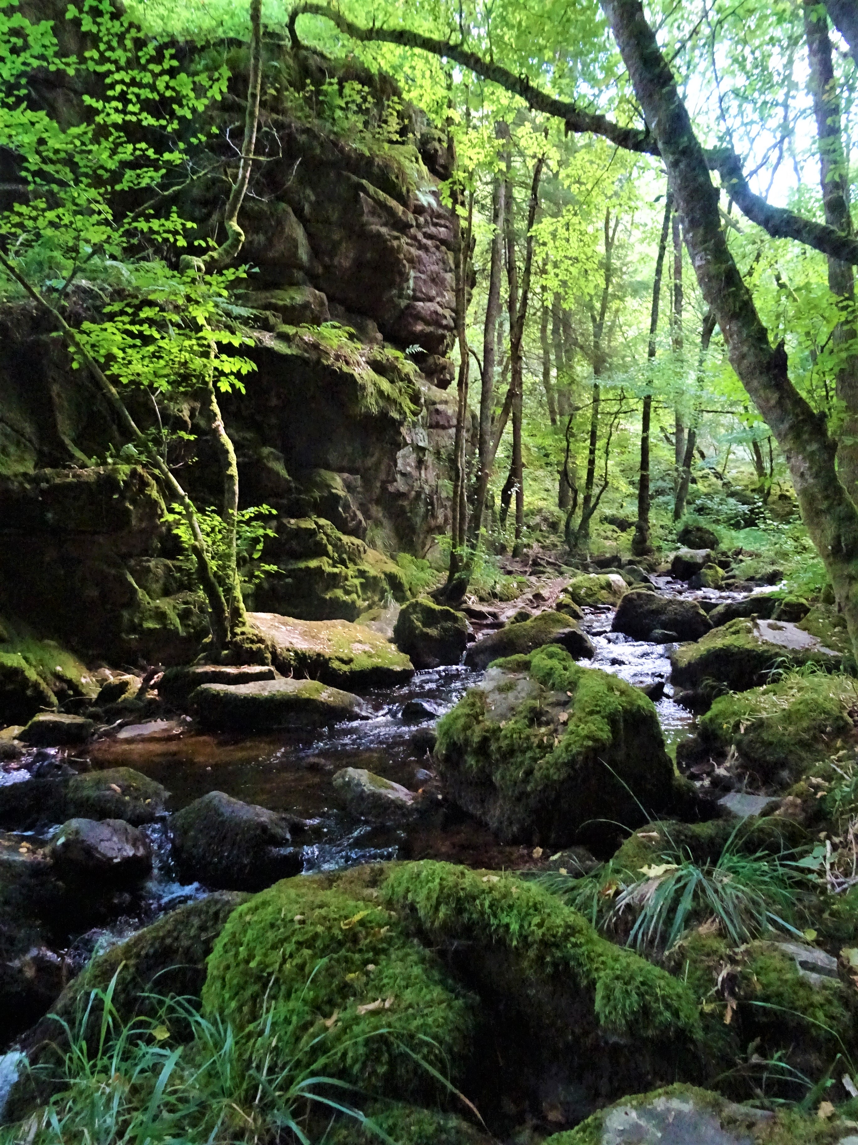 Gorges de la Canche situées dans le Morvan près de Boisseau