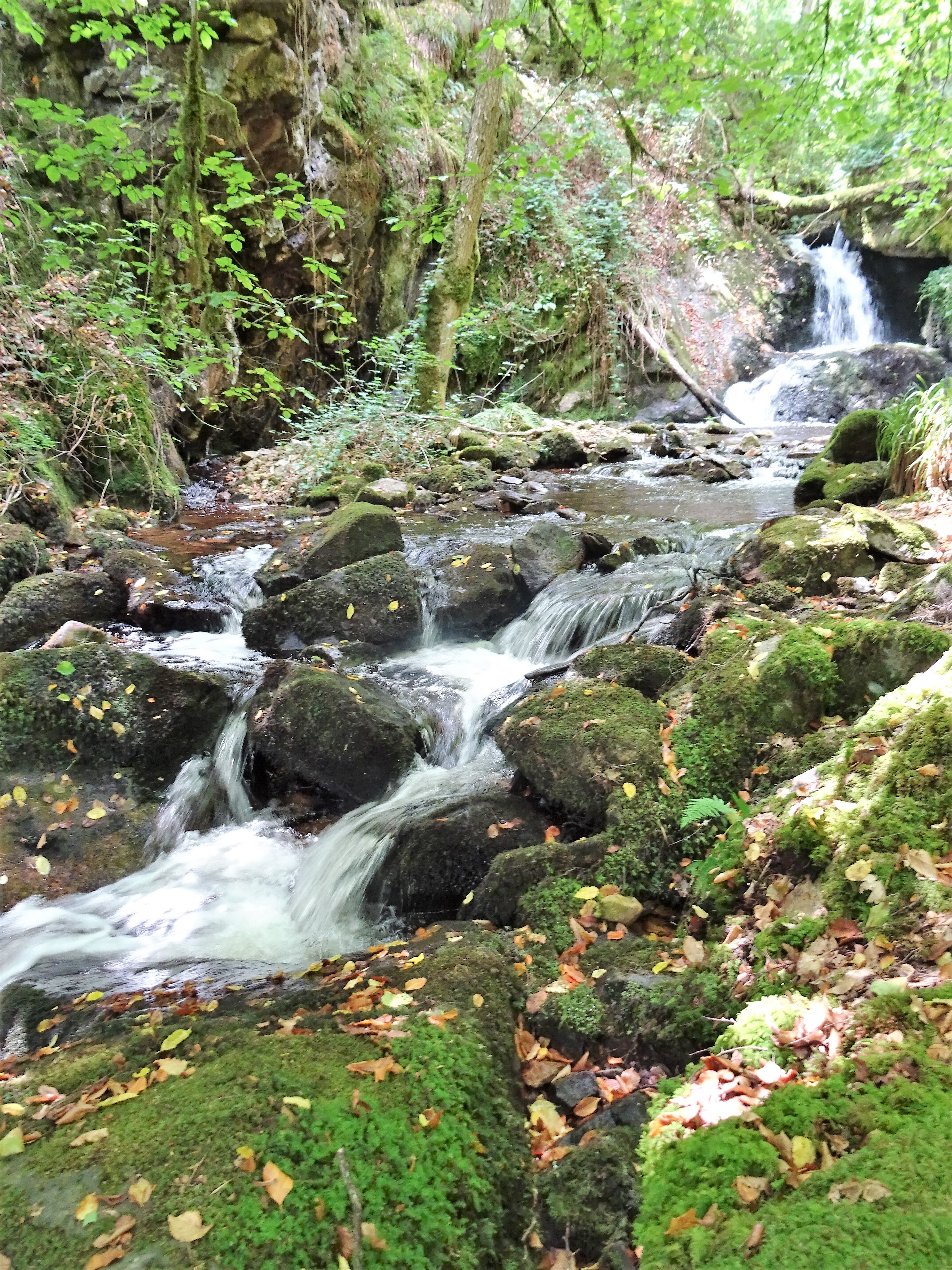 cascade d'eau Gorges de la Canche situé dans le Morvan près de Boisseau