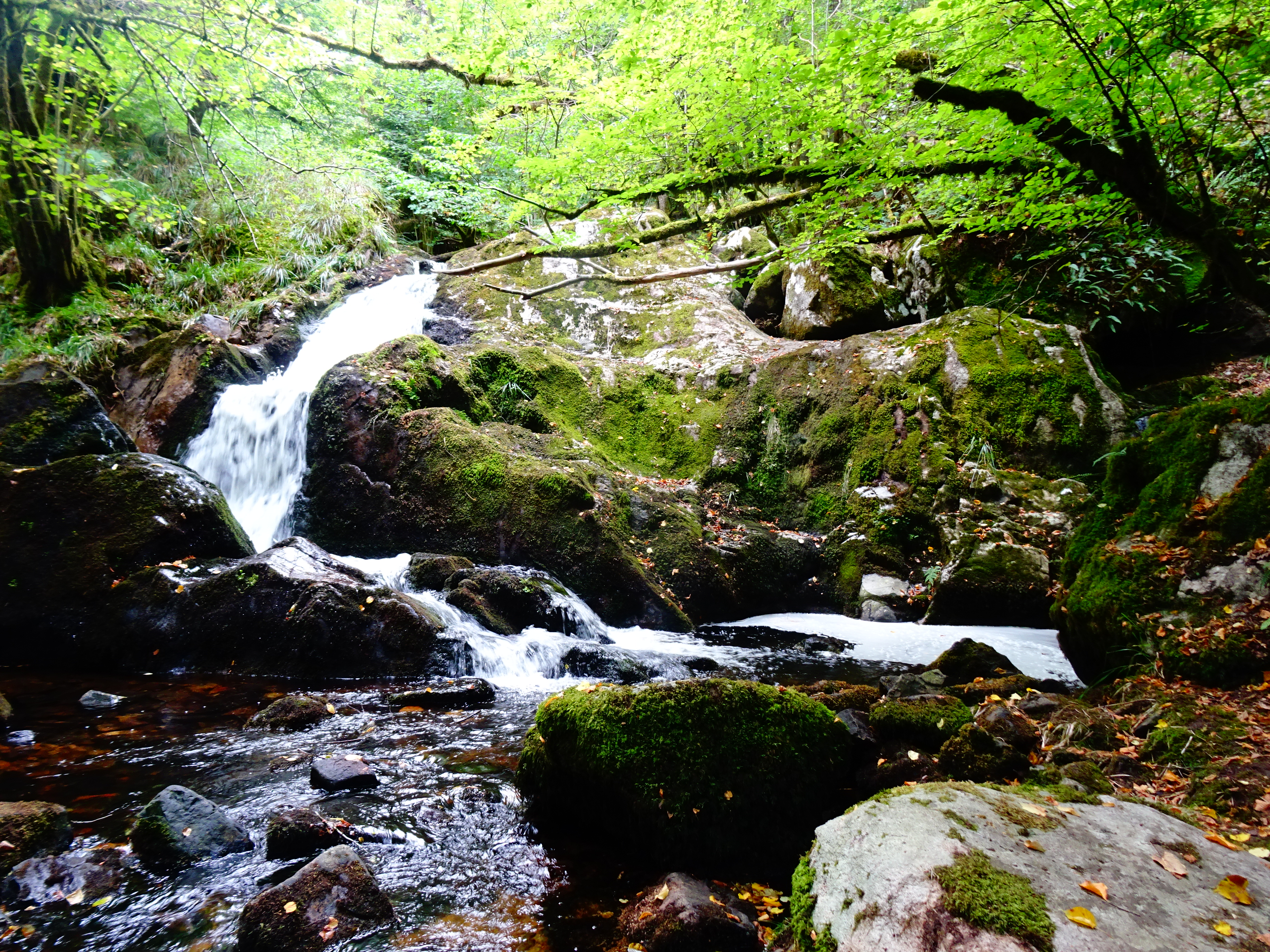 cascade d'eau Gorges de la Canche situé dans le Morvan près de Boisseau